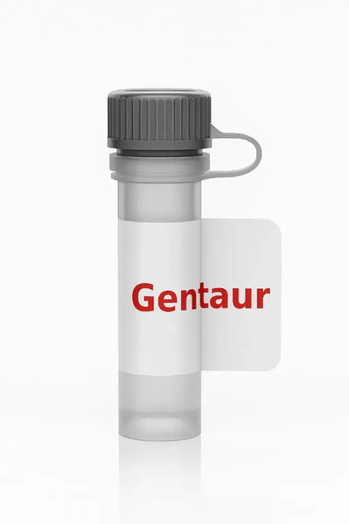 PCRSizer 100bp DNA Ladder, 100 Loads