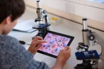 Cell and Developmental Biology